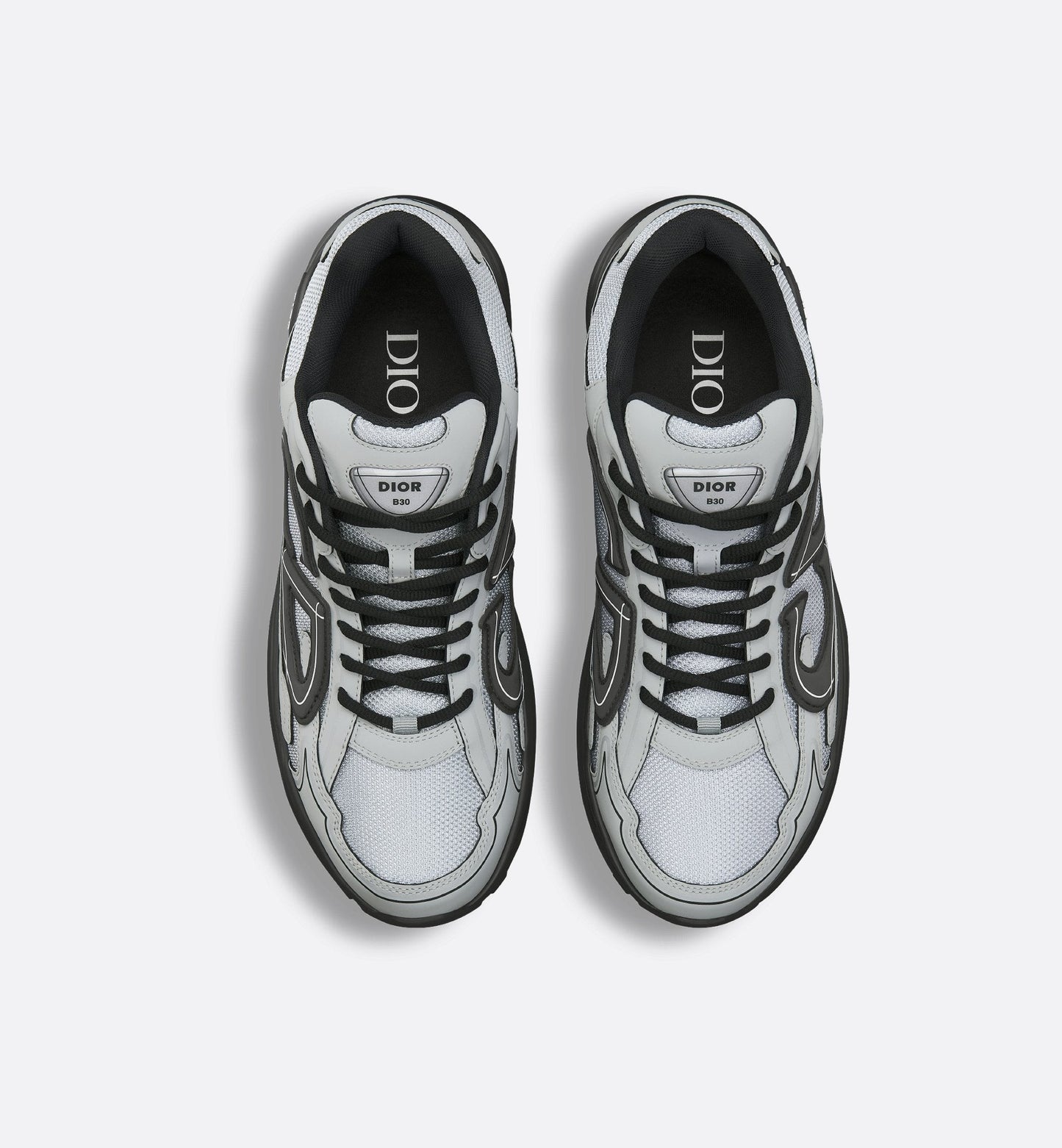 Dior B30 Grise et Noir